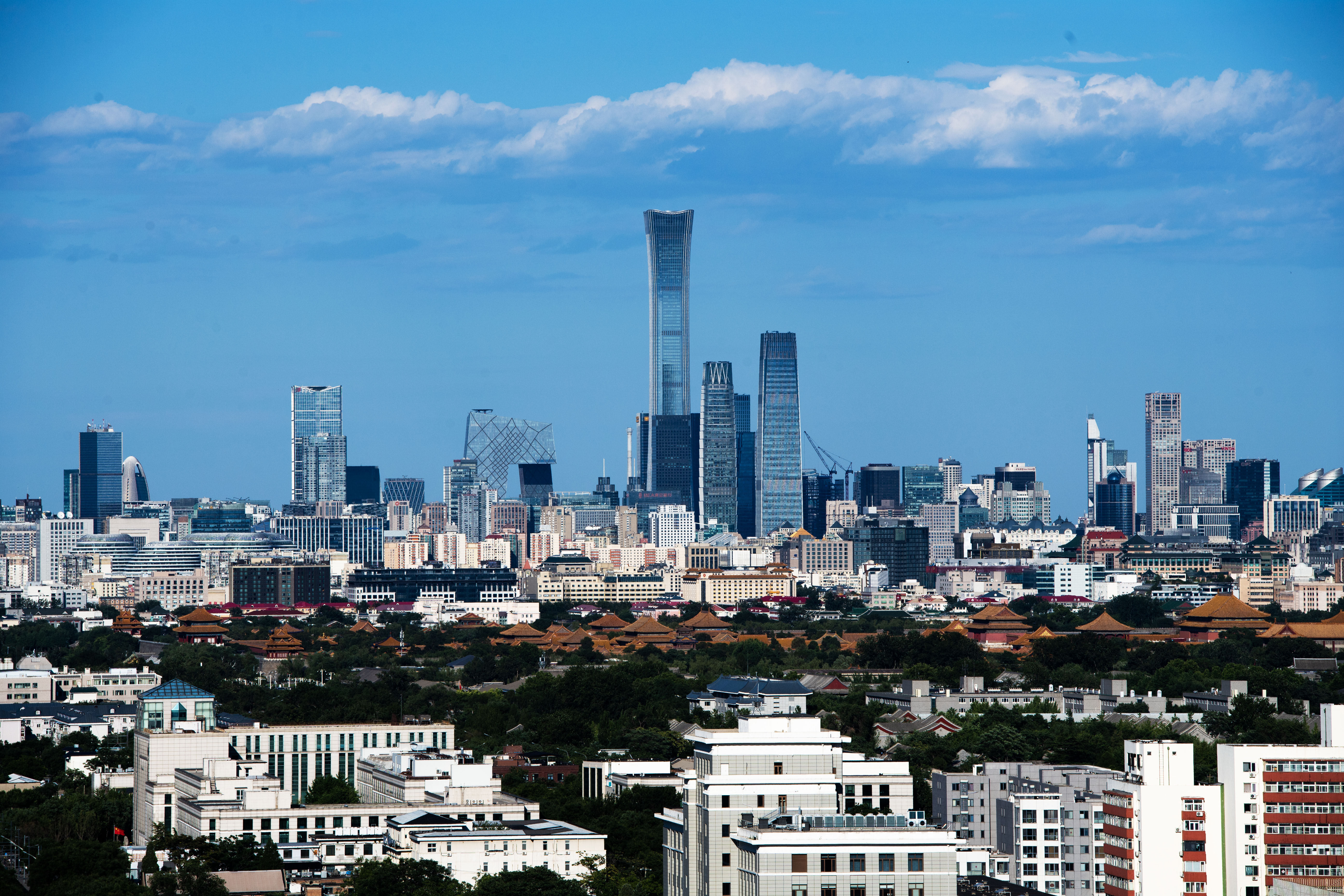 1765678979176407.jpg 5.jpg